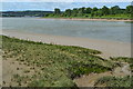 River Medway south of Rochester