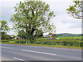 A6 (Preston Lancaster Road) at Woodfold Farm