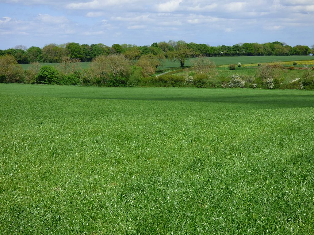 Farmland Dalton On Tees © Andrew Smith Cc By Sa 2 0 Geograph