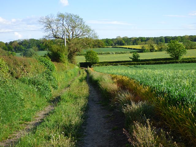 Farmland, Low Dinsdale