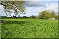 Kilstrule Townland