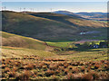 Looking down to Whelphill farm