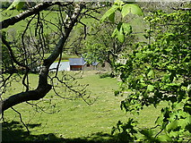 SJ0328 : A glimpse of Ty'n-y-ffynonydd farm by Richard Law