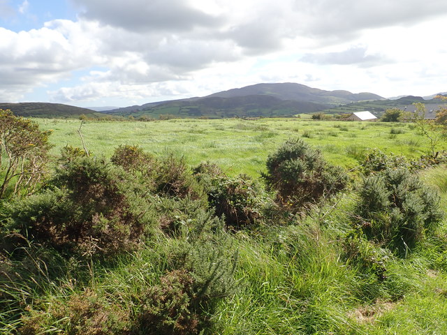 Rough pasturage East of Tate Road © Eric Jones :: Geograph Britain and ...