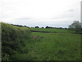 Footpath towards Parkhall Farm