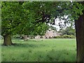 Grassy field at Houghton Hall