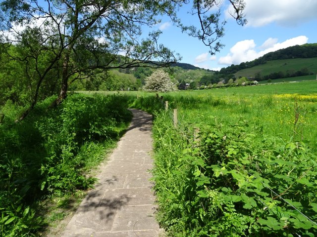 The Wye Valley © Philip Halling cc-by-sa/2.0 :: Geograph Britain and ...