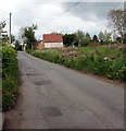 Into Llangrove, Herefordshire 