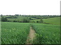 Footpath towards Bolsover from Bolsover Woodhouse