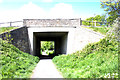 Cross Lane bridge over the cinder track.