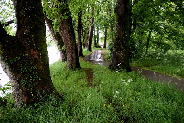 Wet Along The Highway To Health Path © Kenneth Allen Cc By Sa20