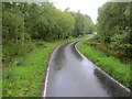 Minor road passing through woodland near to Tomacharich