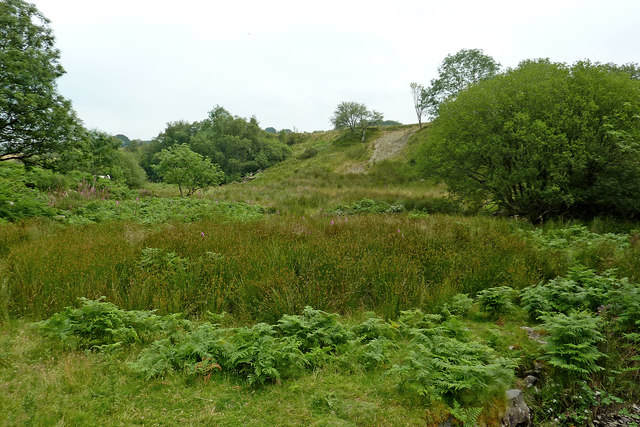 boggy-land-by-nant-clywodeg-uchaf-in-roger-kidd-geograph-britain-and-ireland