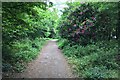 Footpath towards the school