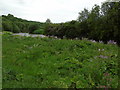 River Irwell at Springwater Park (2)