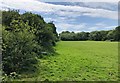 Fields near Broadhill Farm