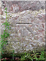 Bench mark near the entrance to Chirk Castle