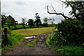 Muddy entrance to field, Raveagh