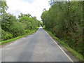 Tree-lined road (A861) at South Garvan