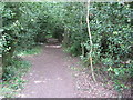 Footpath from Medstead Village Hall