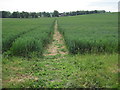 Footpath towards Trinity Road