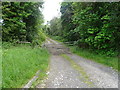 Gated track to Maerfield Gate Farm