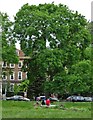 On the edge of Clapham Common