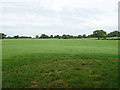 Grazing near Rooms Farm