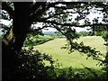 A glimpse of the farmland above West Leigh