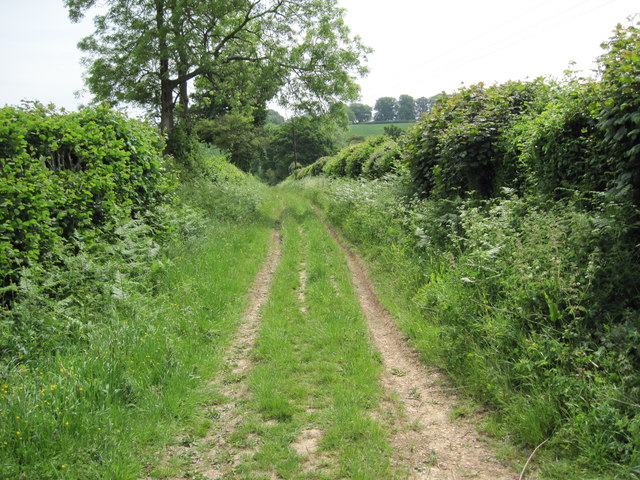 Footpath to Wivelrod