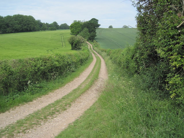 Tinker's Lane towards Bentworth