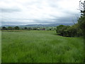 SJ3305 : Large grassy field near Aston Piggott by Jeremy Bolwell