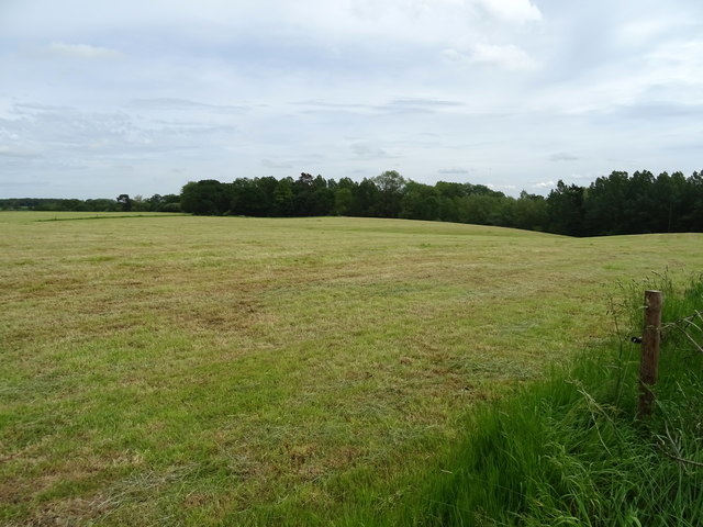 Cut silage field, Cloverley © JThomas :: Geograph Britain and Ireland