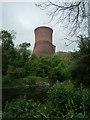 SJ6603 : Ironbridge B Power Station (Viewed from Dale End Park) by Fabian Musto