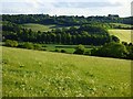 Pasture, Watlington