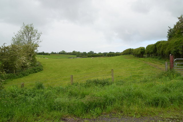 Ramackan Townland © Kenneth Allen Cc-by-sa 2.0 :: Geograph Ireland