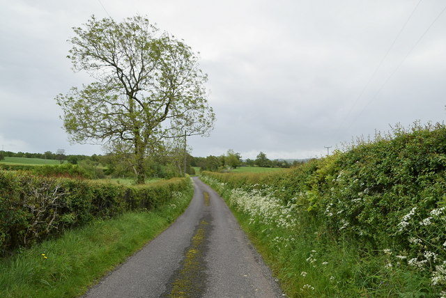 Mullaslin Road © Kenneth Allen :: Geograph Ireland