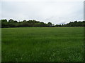 Grassland north of Mucklestone Wood Lane, Loggerheads