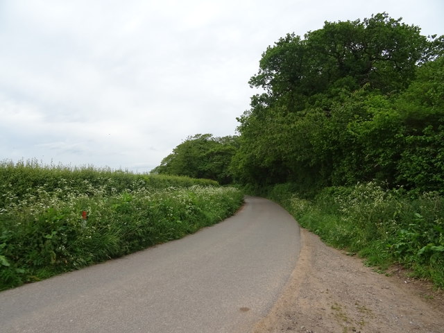 Minor road near Shortwood Farm