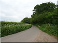 Minor road near Shortwood Farm