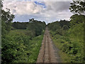 Single Track Railway, Heysham Moss