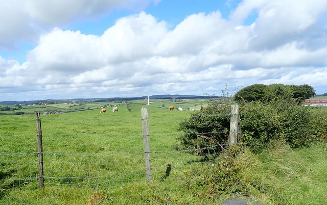 Cattle grazings on the west side of Tate... © Eric Jones cc-by-sa/2.0 ...