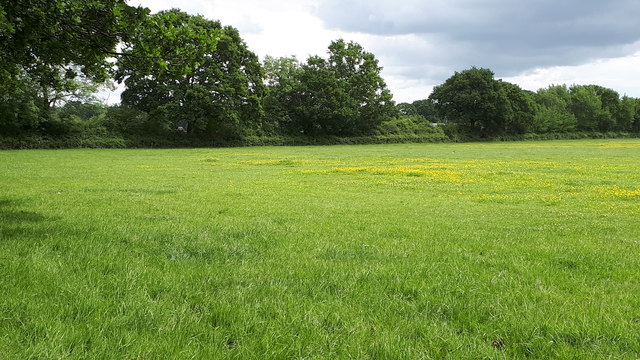 View across field north of Mortimers Lane