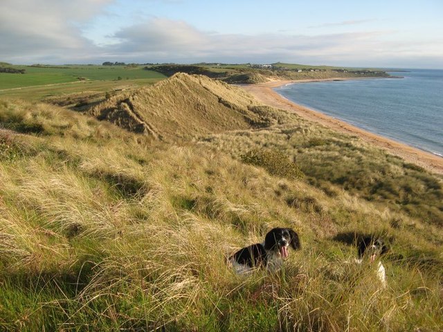 Dunes, Embleton Bay © Jonathan Wilkins cc-by-sa/2.0 :: Geograph Britain ...