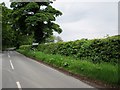 Passing  access  road  to  Christon  Bank  Farm  on  B6347