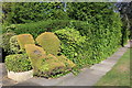 TQ2688 : Topiary on Holne Chase, Hampstead Garden Suburb by David Howard