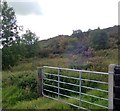 Scrubland on Aughanduff Lower Mountain