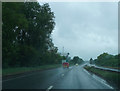 A damp A61