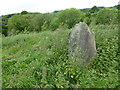 Line of boulders on the hill