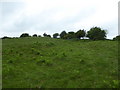 On part of the hillfort